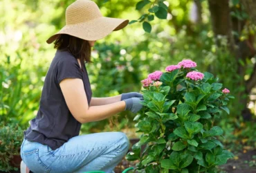 Jardinagem: os 3 signos do zodíaco que fazem qualquer planta prosperar