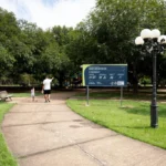 Parque Mãe Bonifácia sedia trilha guiada sobre espécies nativas da flora neste fim de semana