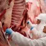 Exportações de carne bovina atingem recorde