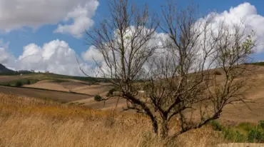 Período de seca em Mato Grosso: veja como proteger a saúde e enfrentar o clima seco