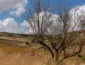 Período de seca em Mato Grosso: veja como proteger a saúde e enfrentar o clima seco