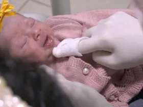 Pré natal odontológico