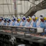 Indústria oferece mais de 1,8 mil vagas de emprego em Mato Grosso por meio do Emprega.Ind