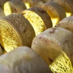 Inscrições para o 3º Concurso do Queijo e Produtos Lácteos de Mato Grosso seguem até 18 de junho