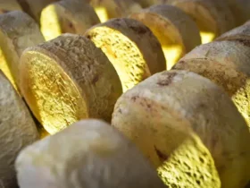 Queijo