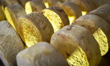 Queijo