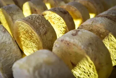 Queijo
