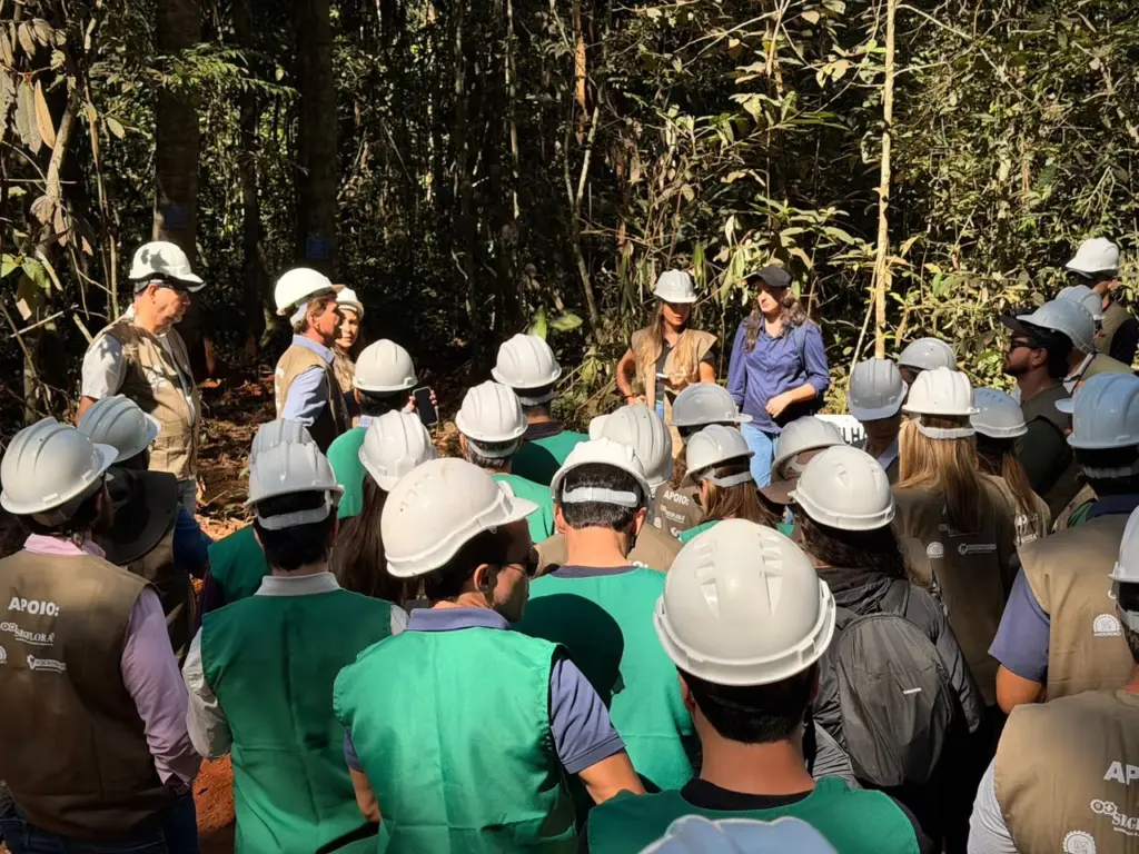 Sema monitora 402 planos de manejo florestal em Mato Grosso