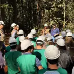 Sema monitora 402 planos de manejo florestal em Mato Grosso