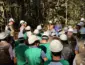 Sema monitora 402 planos de manejo florestal em Mato Grosso