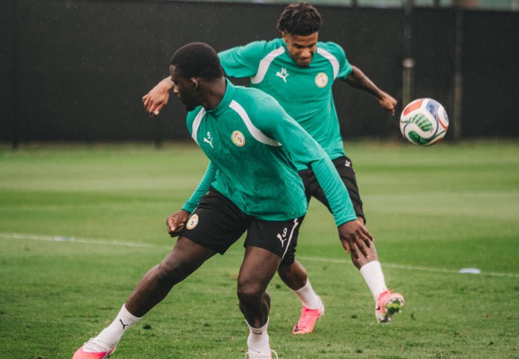 Senegal x Iraque: onde assistir ao vivo jogo que irá definir o futuro das seleções na Copa. Imagem: Seleção de Senegal