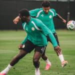 Senegal x Iraque: onde assistir ao vivo jogo que irá definir o futuro das seleções na Copa