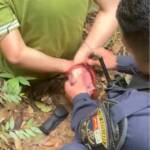 PM resgata dois homens mantidos em cárcere privado em área de mata de Lucas do Rio Verde