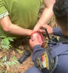 PM resgata dois homens mantidos em cárcere privado em área de mata de Lucas do Rio Verde