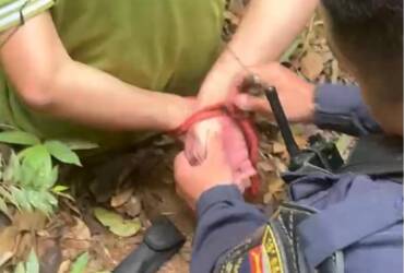 PM resgata dois homens mantidos em cárcere privado em área de mata de Lucas do Rio Verde