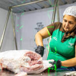 Giro do Agro: Superfeiras tomam conta do interior de Mato Grosso com corte de carnes nobres e fomento à tecnologia