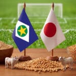 Brasil x Japão coloca soja de Mato Grosso em destaque e abre caminho para futuro mercado da carne bovina
