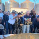 Milho segunda safra consolida renda no campo e avança na agroindustrialização de MT, avalia Famato