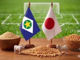 Brasil e Marrocos