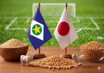 Brasil e Marrocos