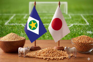 Brasil e Marrocos