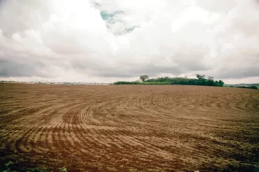 Vaziosanitario