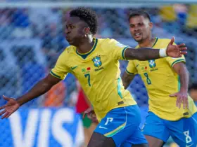 Vinijr