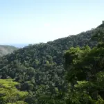 Financiamento impulsiona mais de R$ 500 bilhões em projetos sustentáveis no Brasil