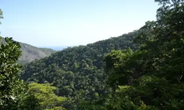 Financiamento impulsiona mais de R$ 500 bilhões em projetos sustentáveis no Brasil