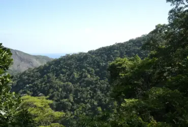 Financiamento impulsiona mais de R$ 500 bilhões em projetos sustentáveis no Brasil