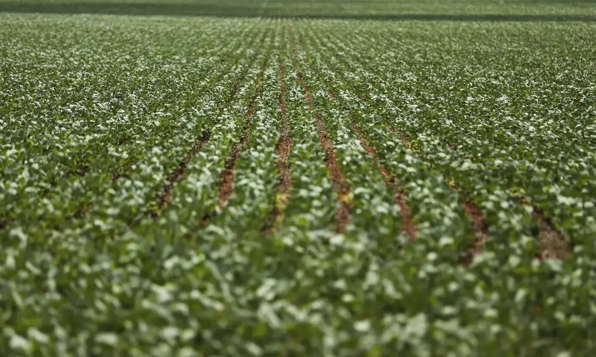 Dívidas seguem sem acordo após reunião entre governo e bancada do agro