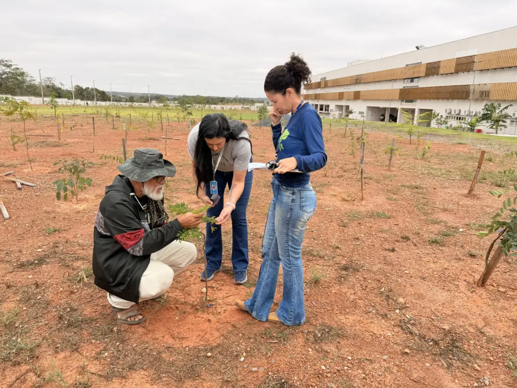 TJMT faz inventário de 1,5 mil árvores no Fórum de Várzea Grande para zerar emissões de carbono