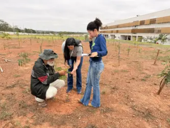CompensaJud avança com inventário florestal no TJMT