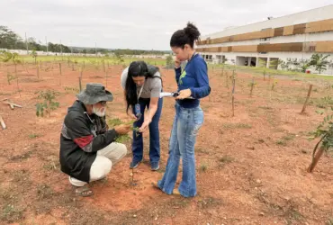 CompensaJud avança com inventário florestal no TJMT
