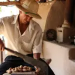 Sociobioeconomia ganha espaço no mercado financeiro e movimenta R$ 2,7 trilhões no Brasil
