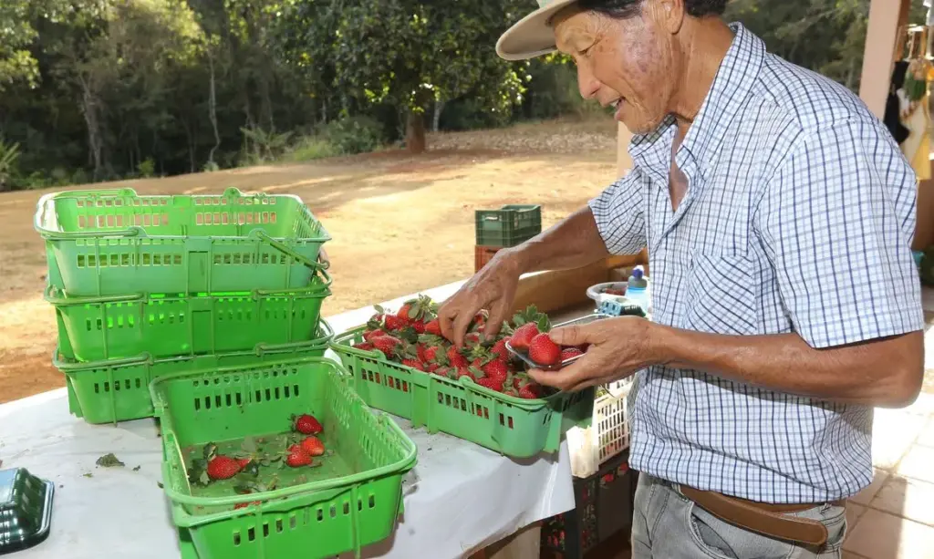 Finep destina R$ 220 milhões para impulsionar inovações na agricultura familiar