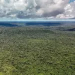 Noruega reforça parceria ambiental com o Brasil além do duelo no futebol
