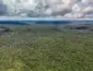 Noruega reforça parceria ambiental com o Brasil além do duelo no futebol