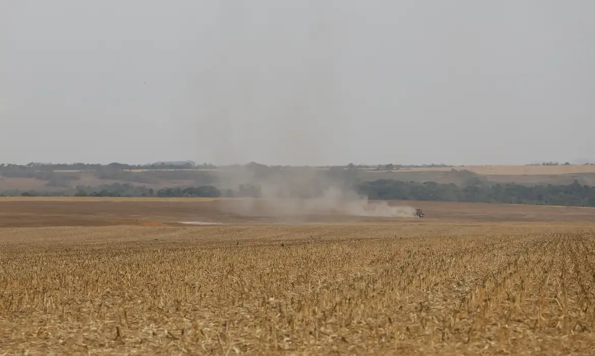 Rastreabilidade pode fortalecer controle ambiental da soja e da carne no Brasil