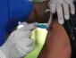 Vacina contra gripe é aprovada pela Anvisa com eficácia de até 73%