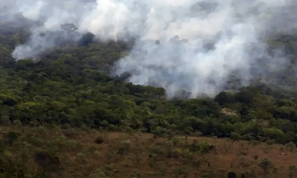 Incêndios registram menor emissão global de gases em 24 anos, aponta Copernicus