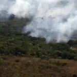 Incêndios registram menor emissão global de gases em 24 anos, aponta Copernicus