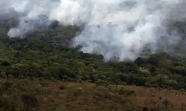 Incêndios registram menor emissão global de gases em 24 anos, aponta Copernicus