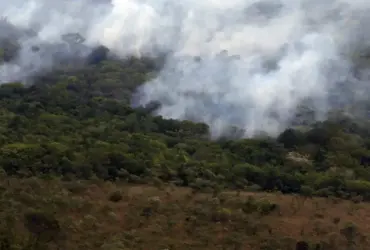 Incêndios registram menor emissão global de gases em 24 anos, aponta Copernicus