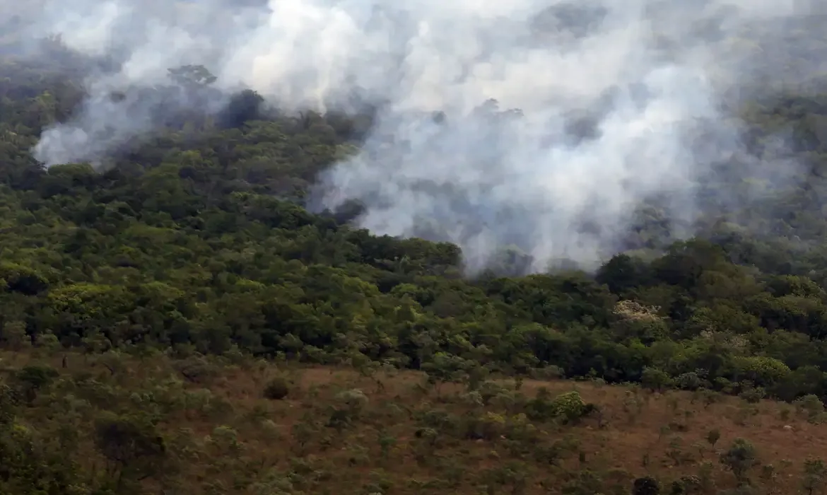 Incêndios registram menor emissão global de gases em 24 anos, aponta Copernicus