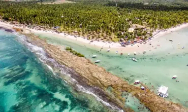 Peixes têm comunicação afetada por ruídos de barcos e turistas, aponta estudo