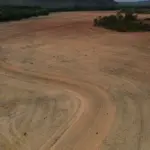 Moratória pode elevar desmatamento na Amazônia, aponta estudo