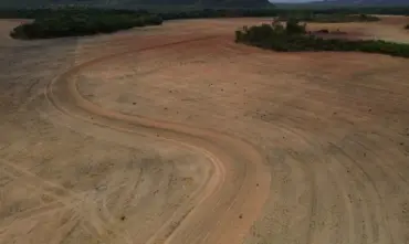 Moratória pode elevar desmatamento na Amazônia, aponta estudo