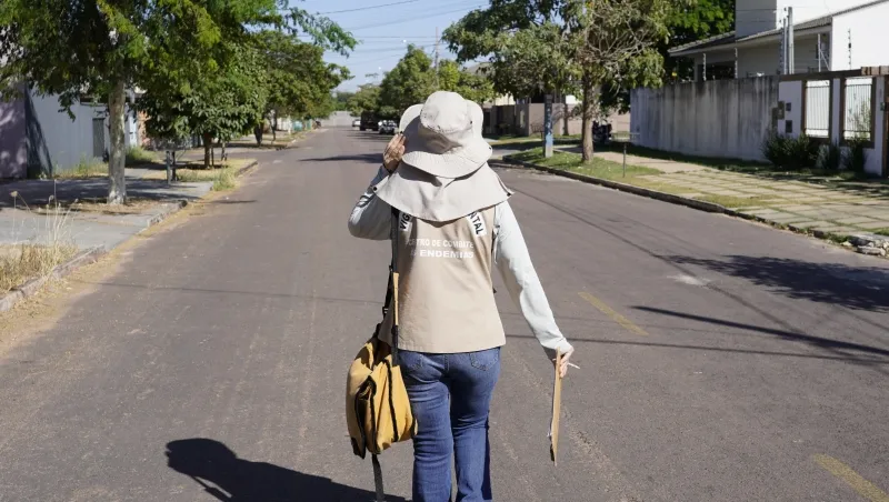 Mutirão em Sinop descobre 60 focos de Aedes aegypti e acende alerta durante a estiagem