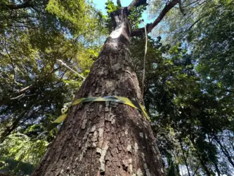 Área Verde do Marco Zero